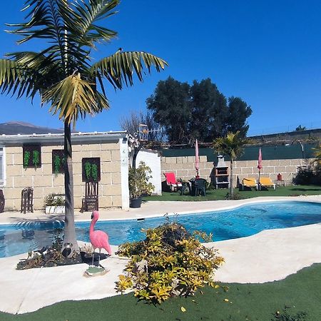 Villa Daita 2 Villa Daita 3 Granadilla De Abona Exteriér fotografie