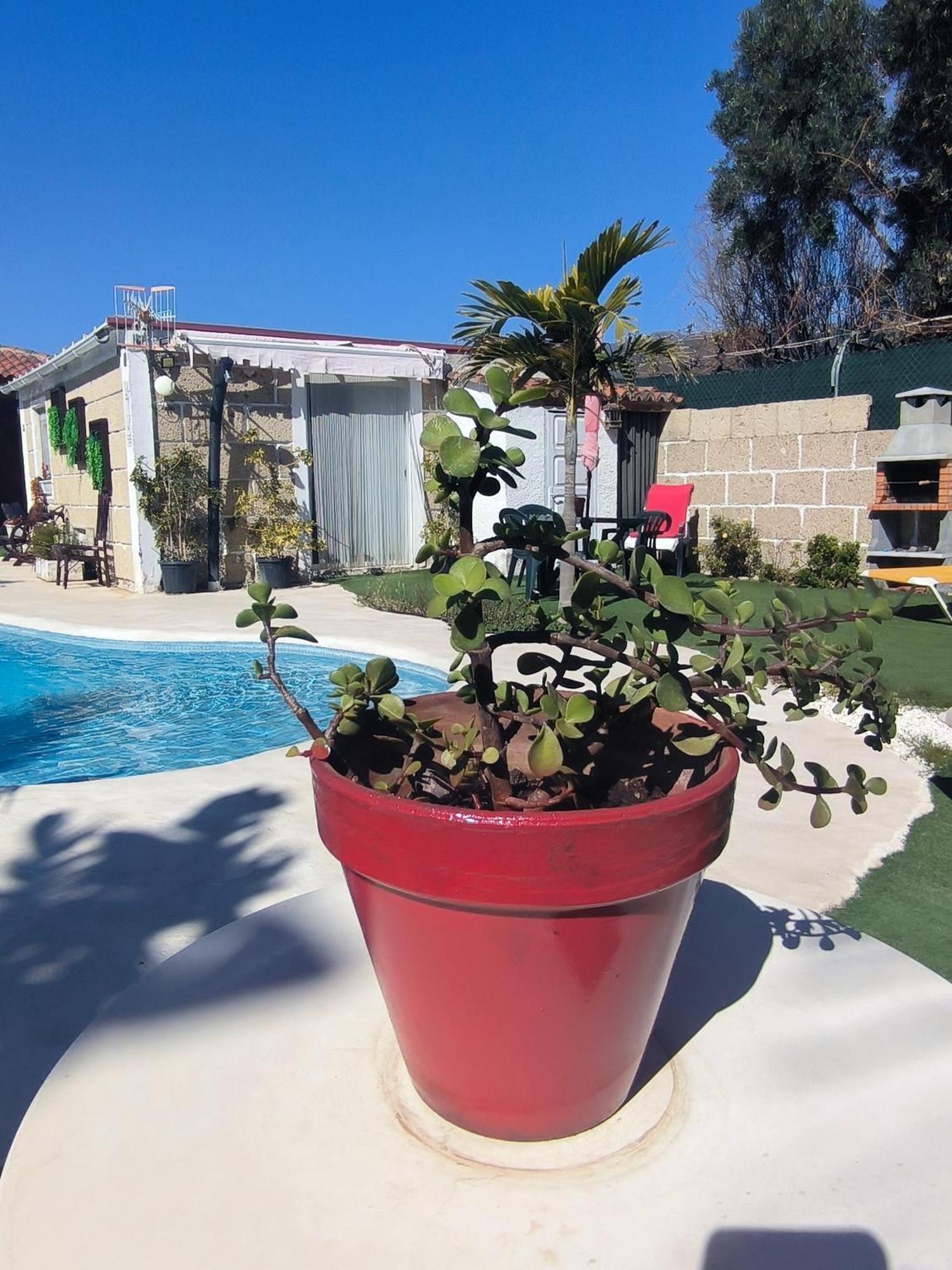 Villa Daita 2 Villa Daita 3 Granadilla De Abona Exteriér fotografie